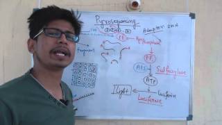 Pyrosequencing [upl. by Schramke]