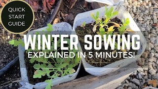 Winter Sowing in 5 Minutes Quick Start Guide To Get You Started With the WS Seed Starting Method [upl. by Leikeze]