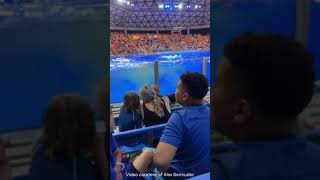 Orca whale poops splashes freshly soiled water on Sea World audience [upl. by Furmark350]