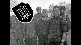 9 SSPanzerDivision Hohenstaufen  episode 9 all waffenSS divisions [upl. by Nerrad]