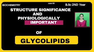 Glycolipids BSc 2nd YearStructure And Significance Physiologically Important Glycolipids bsc zool [upl. by Analaf]