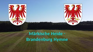 Märkische Heide  Brandenburg Hymne  Nature Check 2021 [upl. by Loredo]