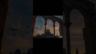 amazing usa quran peaceful قرآن اكسبلور [upl. by Penoyer]