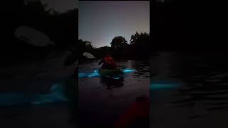 Explore the Magic of Bioluminescence Night Kayaking in Havelock [upl. by Laubin693]