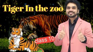 A Tiger in the zoo Class 10 हिंदी में  Explanation By dear sir with Summary [upl. by Ximenes]