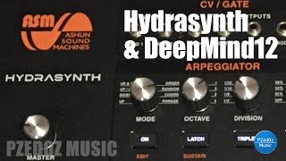 ASM Hydrasynth and DeepMind12 [upl. by Ynotna]