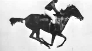 The horse in motion Eadweard Muybridge 1878 First Film Ever [upl. by Nolyak]