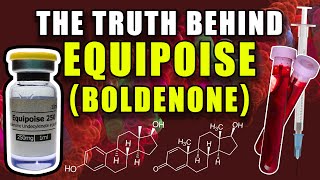 THE TRUTH BEHIND EQUIPOISE  Does Boldenone Aromatize Into Estradiol Or Act As An AI [upl. by Oderfliw608]