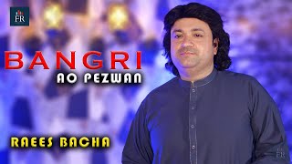 bangri ao pezwan  Raees Bacha  New Pashto Song  Official Video 2024  Fr Production [upl. by Sumahs]