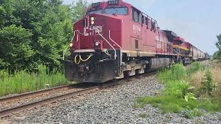 Loud Horn CP 239  8174W at Guelph Junction West  July 23 2024 [upl. by Ataymik]