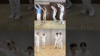 SKZ Giant dance compilation [upl. by Eilliw]