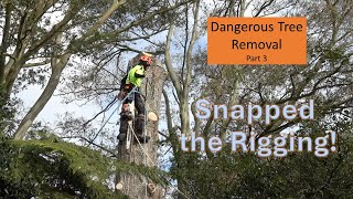 Tree Removal  Rigging Fail  Part 03 [upl. by Hanafee944]