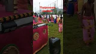 Thaipoosam cavadee in mauritius Thaipoosamcavadee cavadee [upl. by Zilla]