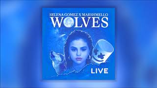 Selena Gomez  Wolves Live at the AMAs Studio Version [upl. by Moyna403]