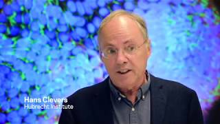 Cancer Modeling Meets Human Organoid Technology  Hans Clevers [upl. by Amari]