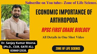 Economic Importance of Arthropoda For RPSC First Grade Biology by Dr Sanjay Meenarpscfirstgrade [upl. by Enyalahs590]