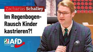 Im RegenbogenRausch Kinder kastrieren – Zacharias Schalley AfD [upl. by Assener]