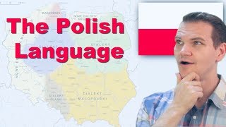 The Polish Language Is this real [upl. by Htedirem]