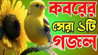 খুবই দুঃখের মরমী কণ্ঠে কবরের সেরার সেরা ১টি গজলbest emotionalকবর যেদিন ডাকবে আমায় সকাল সন্ধা বেলা [upl. by Berkley267]