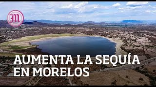 Presentan sequía los 36 municipios de Morelos [upl. by Remle]