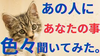 あの人にあなたの事を全部聞いてみた。驚きの本音🫢‼️恋愛タロット占い オラクルカード 個人鑑定級に深掘りリーディング [upl. by Delos]