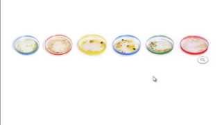 Julius Richard Petri Google logo Doodle [upl. by Sidwohl947]