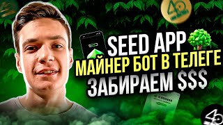 Seed App Майним токен Seed без вложений  Убийца Near Hot Wallet  airdrop [upl. by Yer]