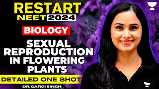 Sexual Reproduction in Flowering Plants  Detailed One Shot  NEET 2024  Dr Gargi Singh [upl. by Ynnal]