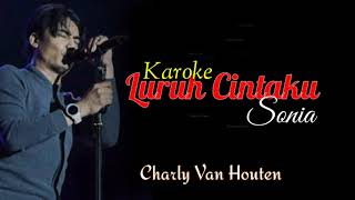 Karoke Lagu Tiktok Charly  Luruh Cintaku Sonia [upl. by Elahcar103]