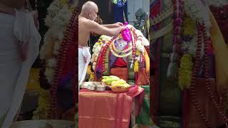 Manavala Mamunigal’s Arulapadu Blessings and Guidance for Devotees [upl. by Weaver]