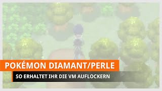 Pokémon Strahlender Diamant amp Leuchtende Perle VM Auflockern finden [upl. by Ash]