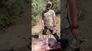 Berger Performance on BIG BULL ELK Shorts elk elkHunting [upl. by Yemiaj]