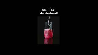 Kaaris  Tchoin slowed and reverb [upl. by Itnavart]