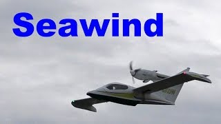 Seawind 300C scale RC amphibian airplane 2017 [upl. by Dalli869]