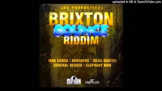 DJ LYTA  BRIXTON BOUNCE RIDDIM MIXX [upl. by Burford]