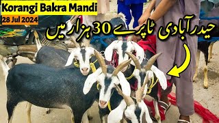 Korangi 2 12 Bakra Mandi  Rate Update  28 Jul 2024 [upl. by Aramit10]