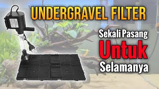 Cara Pasang Filter Undergravel Pakai Powerhead [upl. by Eisele765]