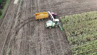 AbingdonOnThames South Abingdon during sweetcorn harvest 03 Oct 24 [upl. by Netsua]