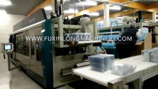 3 Station Thermoforming Machine With FormingCutting amp Stacking [upl. by Assirral]