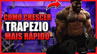 COMO CRESCER TRAPÉZIO MAIS RÁPIDO TREINO COMPLETO [upl. by Uthrop]