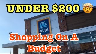 Aldi Grocery Haul [upl. by Metts]