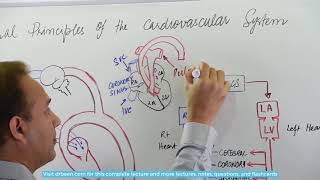 Overview of the Circulatory System [upl. by Oman]