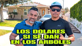 LOS DOLARES SI SE DAN EN LOS ARBOLES Carlos Reynoso  Reynoso tree service episodio 10 [upl. by Alfredo542]