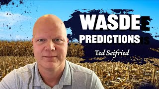 WASDE Market Breakdown Ted Seifried on RFDTV [upl. by Aneladgam781]