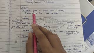 Veneral kerato conjunctivitis SPRING CATARRH theory notes AK KHURANA [upl. by Anelec922]