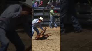 calf roping and tying rodeo cowboy shorts [upl. by Nylrehc]