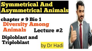 Symmetrical and Asymmetrical Animals Diploblast and Triploblastic Animals in Urdu Hindi By Dr Hadi [upl. by Diskson]