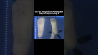 Nike DriFIT socks review nike socks review [upl. by Abernon437]