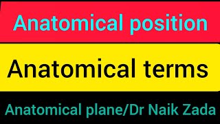 anatomical positionanatomical position and directional terms anatomical position and terms in urdu [upl. by Ion]