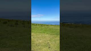 Dunstanburgh Castle shorts [upl. by Bohner]